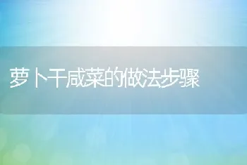 萝卜干咸菜的做法步骤