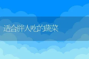 适合胖人吃的蔬菜