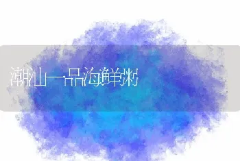 潮汕一品海鲜粥