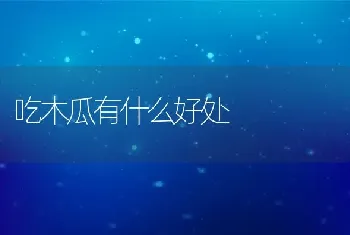 吃木瓜有什么好处