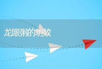 龙眼粥的功效