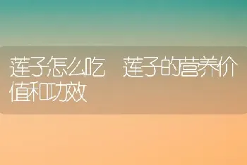 莲子怎么吃 莲子的营养价值和功效