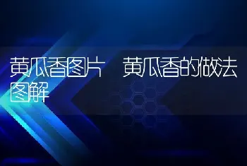 黄瓜香图片 黄瓜香的做法图解