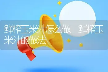 鲜榨玉米汁怎么做 鲜榨玉米汁的做法