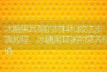 冰糖黑耳粥的材料和做法步骤教程 冰糖黑耳粥的营养价值