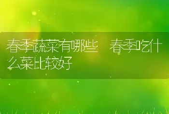 春季蔬菜有哪些 春季吃什么菜比较好