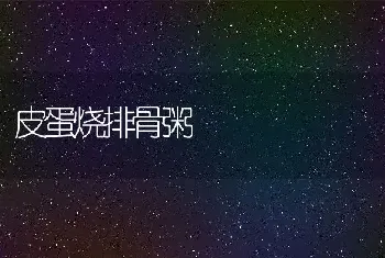 皮蛋烧排骨粥