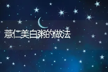 薏仁美白粥的做法