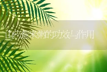 山药薏米粥的功效与作用