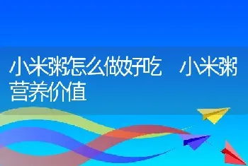 小米粥怎么做好吃 小米粥营养价值