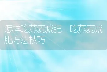 怎样吃燕麦减肥 吃燕麦减肥方法技巧