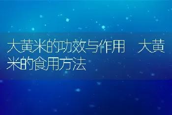 大黄米的功效与作用 大黄米的食用方法