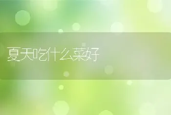 夏天吃什么菜好