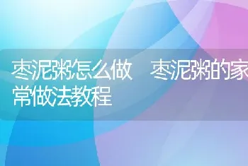 枣泥粥怎么做 枣泥粥的家常做法教程