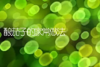 酿茄子的家常做法