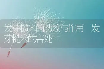 发芽糙米的功效与作用 发芽糙米的害处