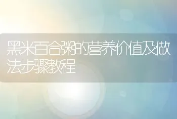 黑米百合粥的营养价值及做法步骤教程