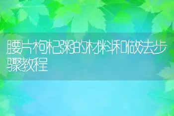 腰片枸杞粥的材料和做法步骤教程