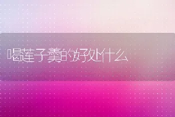 喝莲子羹的好处什么