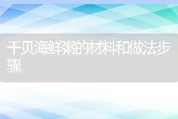 干贝海鲜粥的材料和做法步骤