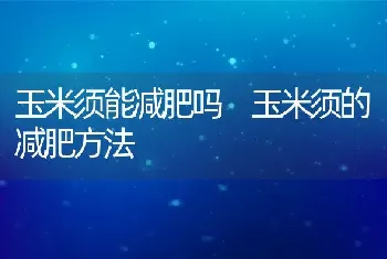 玉米须能减肥吗 玉米须的减肥方法