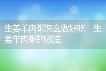 生姜羊肉粥怎么做好吃 生姜羊肉粥的做法