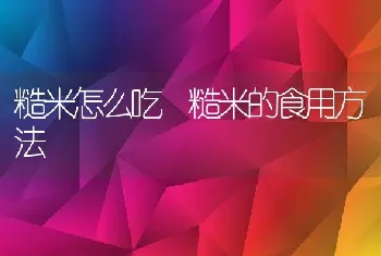 糙米怎么吃 糙米的食用方法