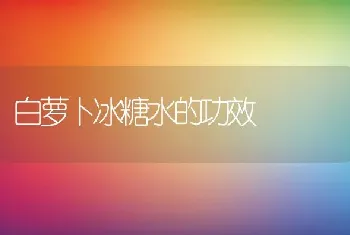 白萝卜冰糖水的功效