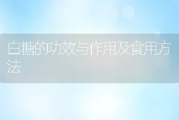 白糖的功效与作用及食用方法