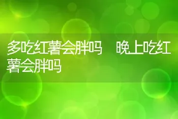 多吃红薯会胖吗 晚上吃红薯会胖吗