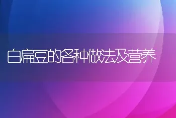 白扁豆的各种做法及营养