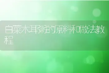 白菜木耳粥的原料和做法教程