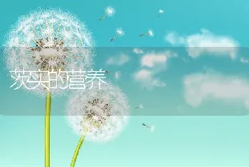 茨实的营养