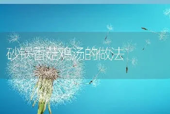 砂锅香菇鸡汤的做法