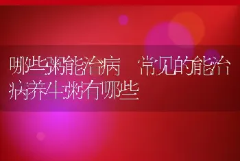 哪些粥能治病 常见的能治病养生粥有哪些