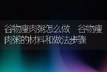 谷物瘦肉粥怎么做 谷物瘦肉粥的材料和做法步骤