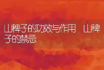 山稗子的功效与作用 山稗子的禁忌