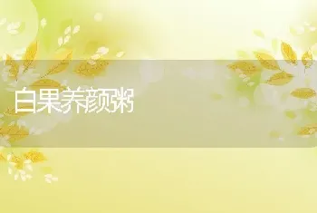 白果养颜粥