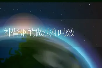 补肾粥的做法和功效