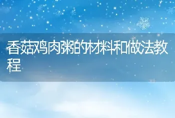 香菇鸡肉粥的材料和做法教程