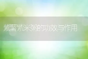 紫薯紫米粥的功效与作用