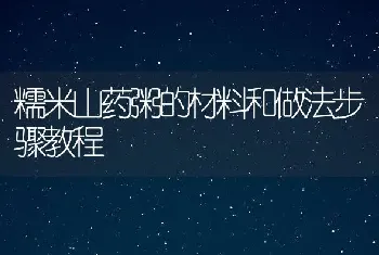 糯米山药粥的材料和做法步骤教程