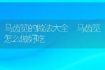 马齿笕的做法大全 马齿笕怎么做好吃