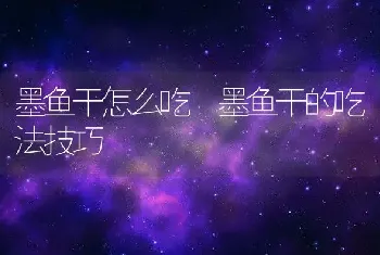 墨鱼干怎么吃 墨鱼干的吃法技巧