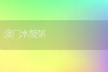 澳门水蟹粥