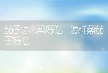 茄子怎么蒸好吃 怎样蒸茄子好吃