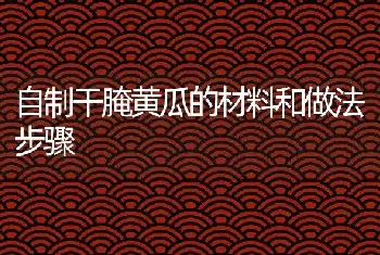 自制干腌黄瓜的材料和做法步骤