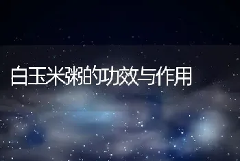 白玉米粥的功效与作用