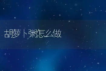 胡萝卜粥怎么做