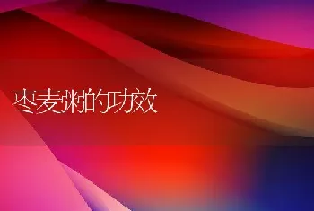 枣麦粥的功效